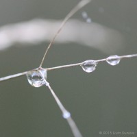 /album/galerie-photos/frida-dumont-img-4812-jpg/